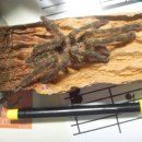 잠원역 3호선 이미지