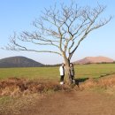 태광목장 이미지