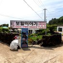 제주 비양도 호니토 이미지