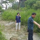 내촌초교 이미지