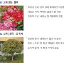 밀양영화고등학교 | (대안학교/인가형) 밀양영화고등학교 2026 신입생 입학안내