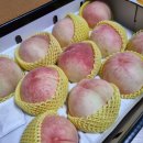 백봉치킨