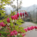 화야산펜션