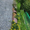 산과 자연의 쉼터 이미지