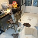 올크린향기 | [영구이사 103호점] 협찬이였으면 좋겠는 내돈내산 완전포장이사 후기(+영구크린 1인청소)