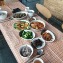 비욘드게스트하우스 | [숙소후기] 표선해변에서 가까운 게스트하우스 비욘드 게스트하우스