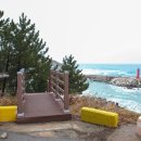 대진항 대게공원 이미지