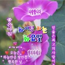 화요일 - 안양시 동안구 동편로27번길 26-12 | 화요일