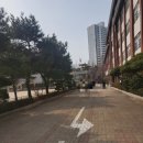 (일상)분당 수내동 사전투표 내정중학교에서!