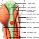 온바로한의원 이미지