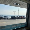 동해곰치 | 동해 묵호 맛집 황해 곰치국, 활어회 내돈내산 후기