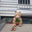 시립도서관카페 이미지