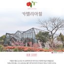 동산항공여행사