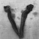 기장i동물의료센터 이미지