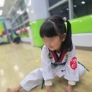 용인대명인태권도 이미지