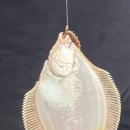 민철민박