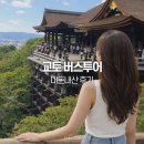 일본 오사카 여행 교토 버스투어 추천 내돈내산 후기