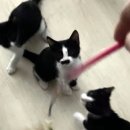 길목축산 이미지