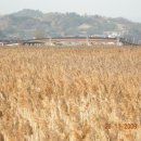 거시기꼬막식당 이미지