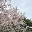 TL골프스튜디오 이미지