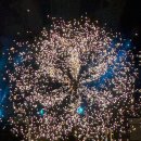 아브라카다브라 | 아브라카다브라