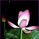 늘좋은날 - 홍성군 | 늘좋은날