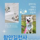 🍉함안길천사 여름 바자회(티셔츠. 반다나) 이미지