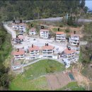 지안FOREST 이미지