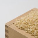 현미부침 이미지