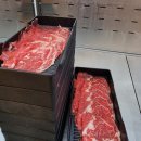 자작나무 | 울산 샤브샤브 무한리필 맛집 |샤브자작나무 솔직 방문 후기