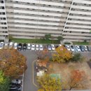 초원부동산중개사무소 이미지