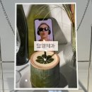 담양동초등학교 | 담양 디저트 추천 | 대나무케이크, 대나무 우유 ‘담양제과’ 내돈내산 후기