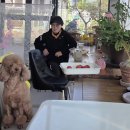 지연이네 티스토리