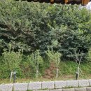 북산역사공원 이미지