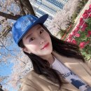 비비래쉬 이미지