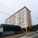 하모리-38 이미지