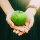 다나움 | 메나테크 디톡스 5일 5키로 감량 리얼후기 5일차 6일차