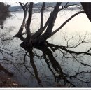 옥구저수지 이미지