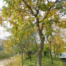 (주)풍년가 이미지