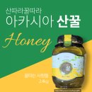 꿀따는사람들