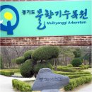 활짝 핀 봄의 화신 진달래의 군락을 볼수있는 물향기 수목원(3/25). 이미지