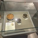 전라남도산림박물관 | 광양 실내 아이와 가볼만한곳 백운산 산림박물관