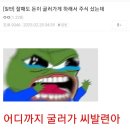 굴러가게 Daum카페