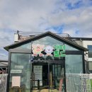 강쥐세상 | 오래 : 개떼월드 강쥐세상 편하게 대박이 뛰뛰