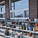 쇠소깍오메기식당1 이미지