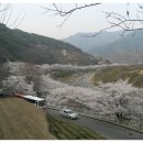 화개축산 이미지