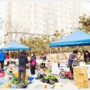 로컬푸드직매장 도담점 이미지