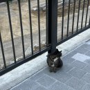 일향푸드 | 지구부터 달까지