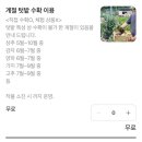 우정동산캠핑농원 | 캄비오캠핑장] 봄 방문 내돈내산 후기 / 대만족 후기 / 대구 글램핑 / 대구 캠핑 / 대구 근교 캠핑장