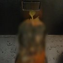 양일로1L 이미지